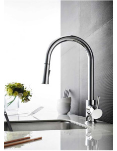 Borras Single Handle Kitchen Faucet with Pull-Out Shower Faucet GRIFERIAS BORRAS - 1