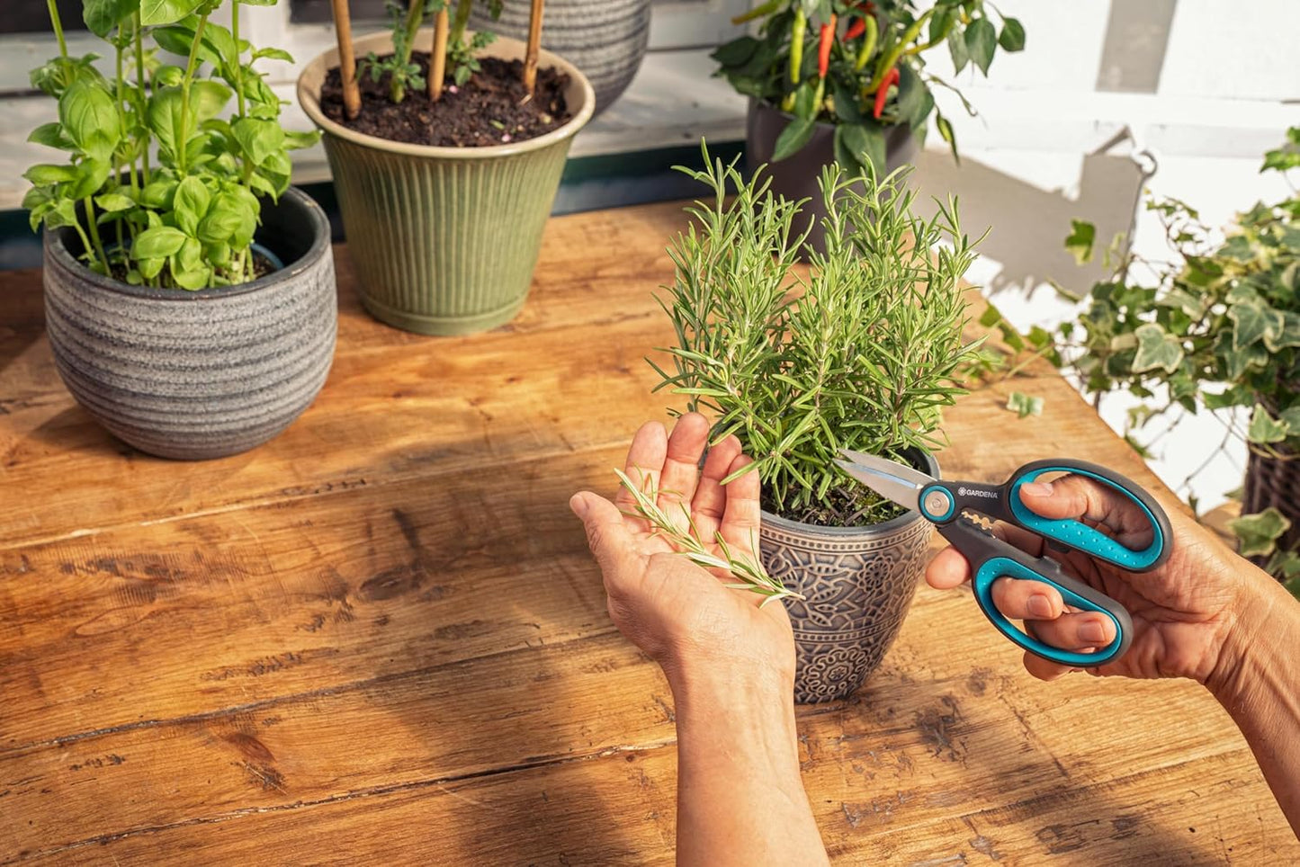 Tesoura para Ervas Gardena 12214-20